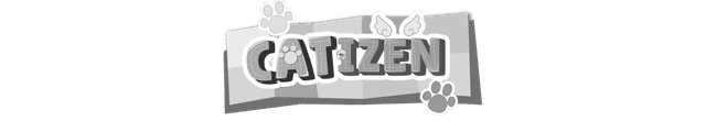 Catizen