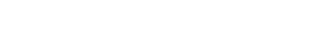 IBC Invest Incubate Accelerate