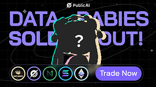 DataBabies Collection Sells Out! Trade Your Pixel-Chibi NFTs on HotCraft cover picture